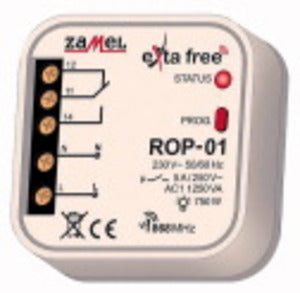 Ricevitore sistema exta free 1CH