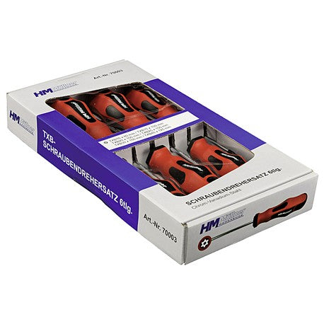 Set Cacciaviti TORX con foro HM